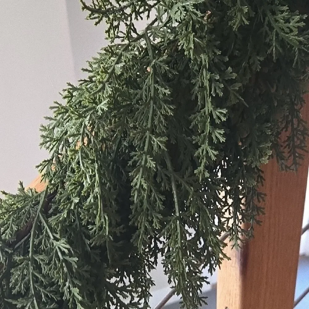 Elegant Green Holiday Garland